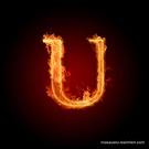 U