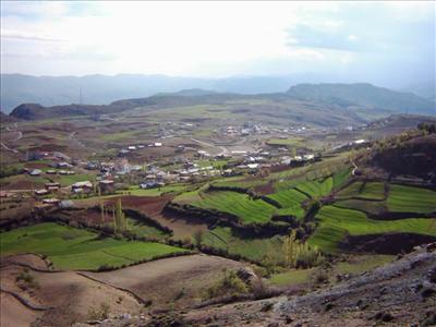 Sinçik