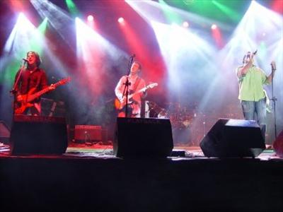 Şarkıcı