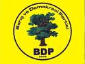 BDP / Barış ve Demokrasi Partisi - Selahattin Demirtaş