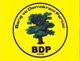 Bdp (barış ve demokrasi paritis]