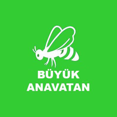Büyük Anavatan Partisi
