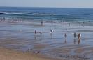 Tanchet(aux sables)