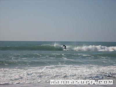 Les conches