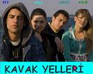 Kavak Yelleri