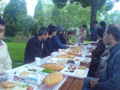 İNTERNETTE VE GERÇEK AKTİVİTELER DÜZENLENSİN