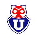 Universidad de chile