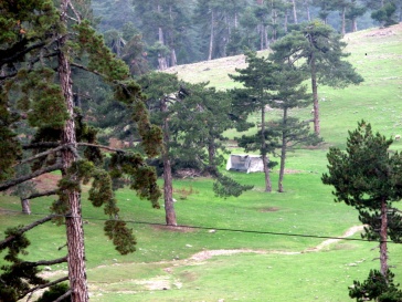 Büyükorhan