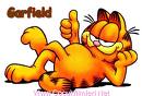 Gafild