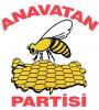 Anavatan partisi