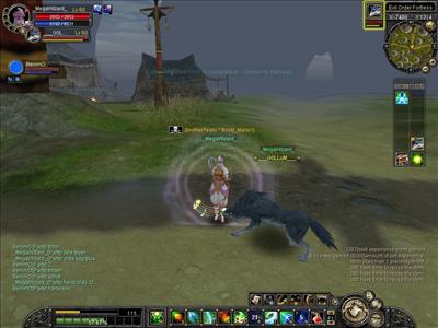 Wizard Bard(INT)