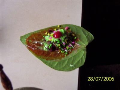 Sanaka hua panvadi