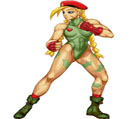 CAMMY