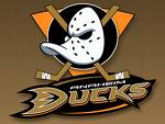 Anaheim ducks