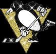 Pittsburgh penguins
