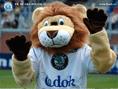 ML.BOLESLAV