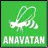 Anavatan Partisi