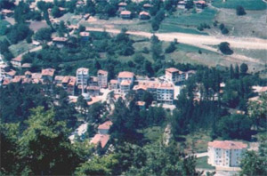 Dikmen