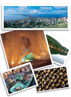 Merkez sinop