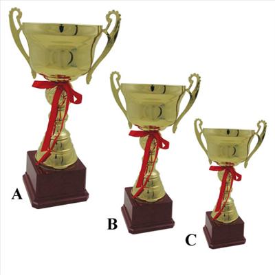 İlk 3'e Girer