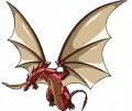 Dragoo 