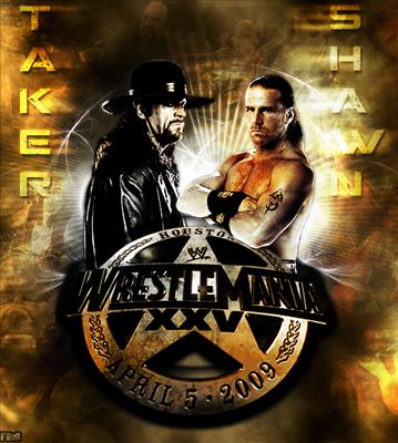 The UNDERTAKER vs HBK (Shawn Michaels)