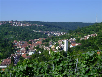 Rohracker