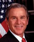 Bush