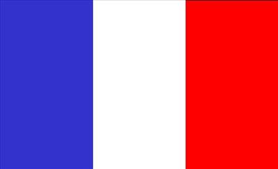 Qui gagnera la coupe du monde 2010 entre l'Italia et la France(côté France)