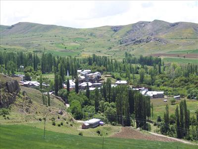 PAZARYOLU
