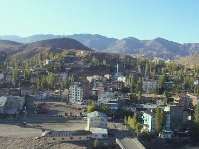 OLTU