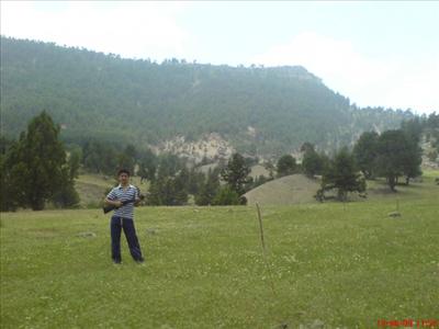 Ömer Tarık AVCI
