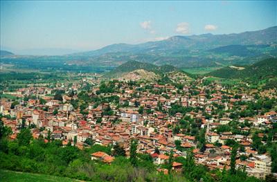 NİKSAR