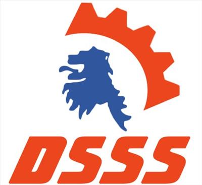 DSSS