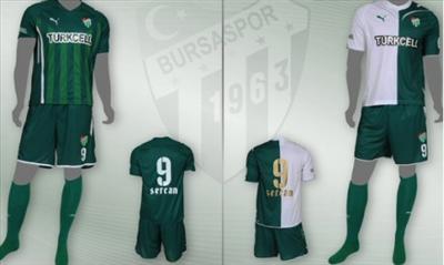 Bursa Spor