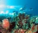 Manado...mau ke bunaken nih!