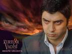 Polat alemdar