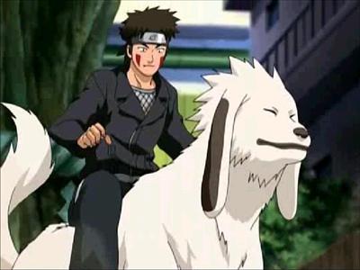 Kiba and Akamaru