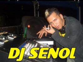 Dj Şenol