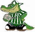 Bursaspor