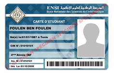 Carte ENSI 2010