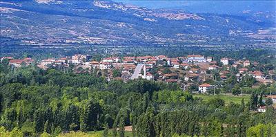 Beyağaç