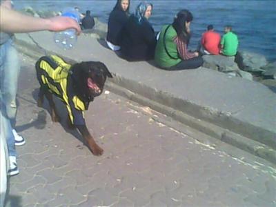 Ewet 0/0 1 olabilir