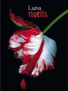 Luna Nueva