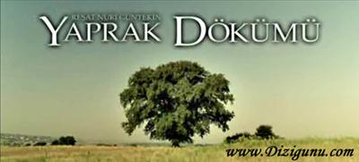 Yaprak Dökümü