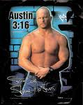 STEVE AUSTİN(STONE COLD)