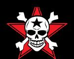 Die Toten Hosen 
