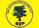 BDP - Barış ve Demokrasi Partisi