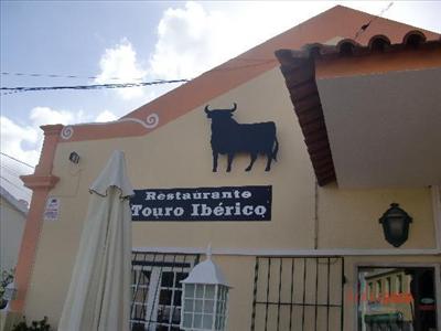 Touro Ibérico