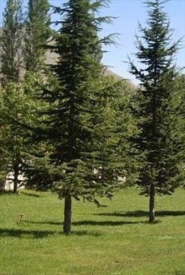 01 Eylül - 13 Eylül